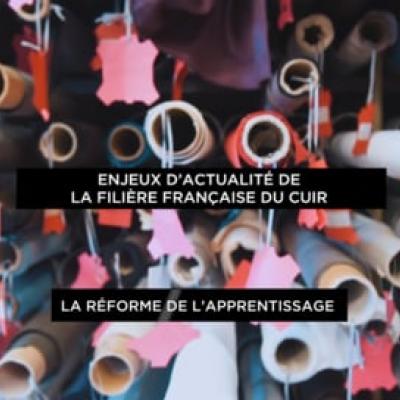 enjeux_dactualite_de_la_filiere_francaise_du_cuir_-_reforme_de_lapprentissage